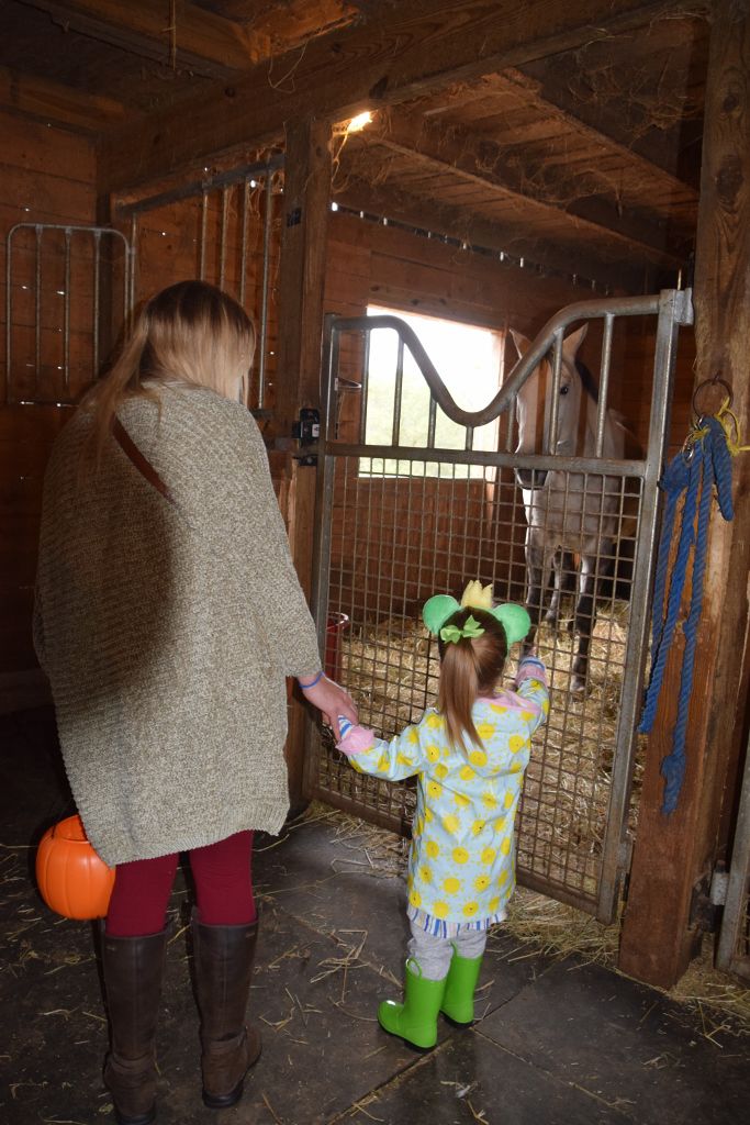mimosa farm 10-2019 097 (683x1024).jpg